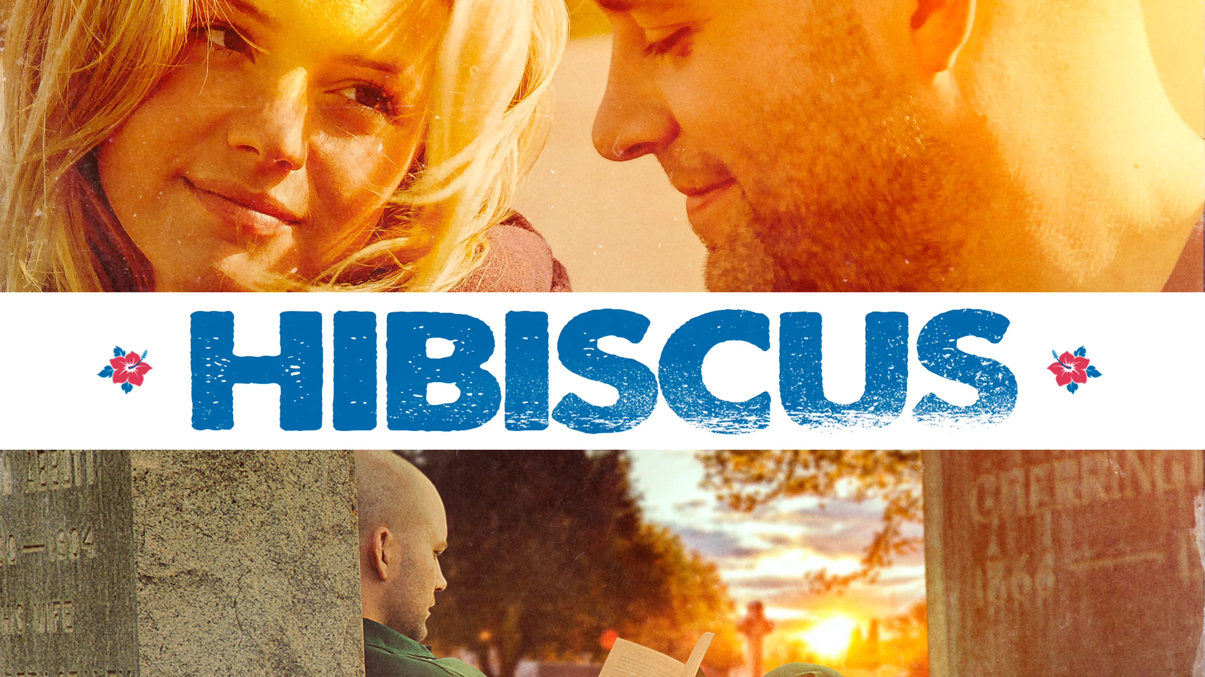 Hibiscus poster